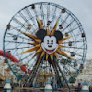 Meet your Posher, Alexandra